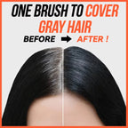 New 2 in 1 Comb Hair Dye